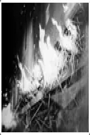 Постер: Fire