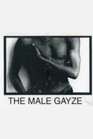 Постер: The Male GaYze