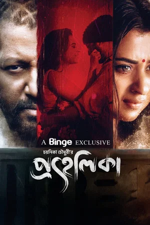 Постер: প্রহেলিকা