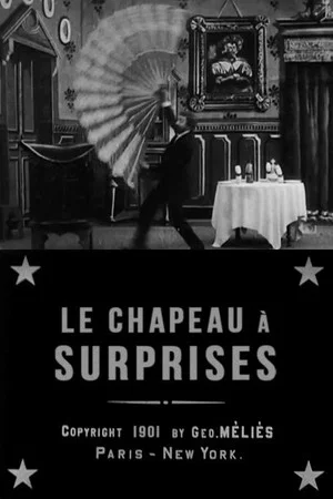 Постер: Hat of Many Surprises