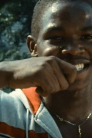 Постер: Flash That Smile