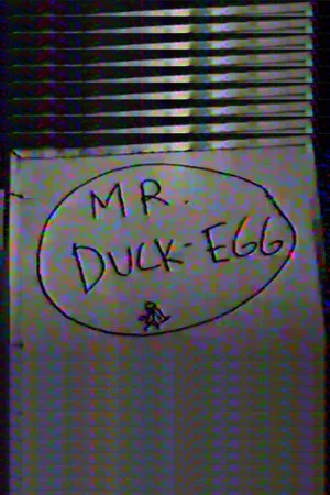 Постер: Mr. Duck-Egg
