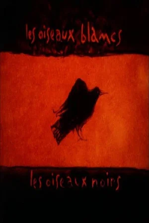 Постер: Les oiseaux blancs, les oiseaux noirs