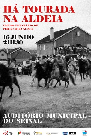 Постер: Há Tourada na Aldeia