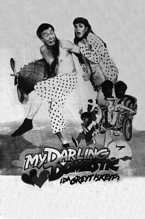 Постер: My Darling Domestic