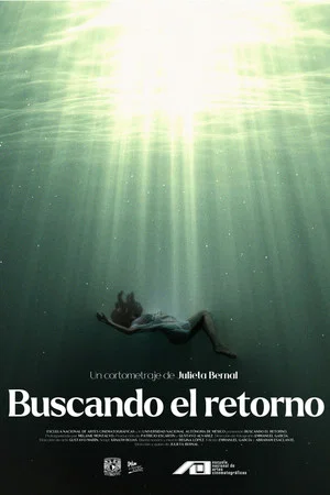 Постер: Buscando el retorno