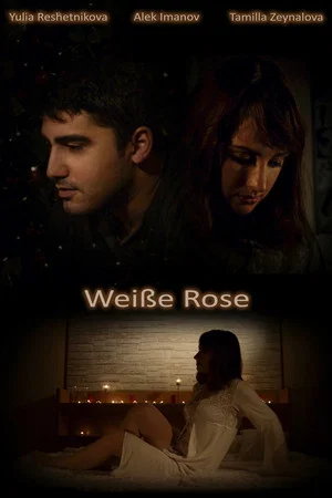 Постер: Weiße Rose