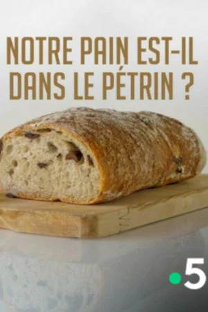 Постер: Notre pain est-il dans le pétrin ?