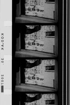 Постер: Frame