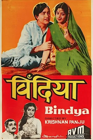 Постер: Bindya
