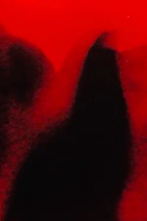 Постер: Fever