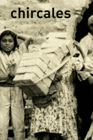Постер: The Brickmakers