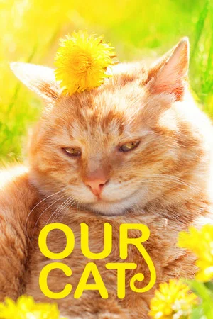 Постер: Our Cat