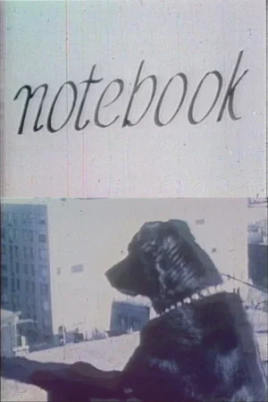 Постер: Notebook