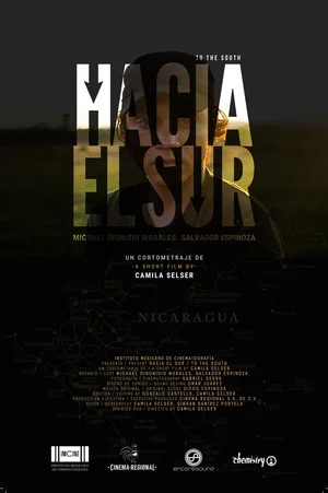 Постер: Hacia el sur
