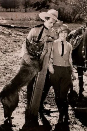 Постер: The Four-Footed Ranger