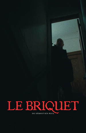 Постер: Le Briquet