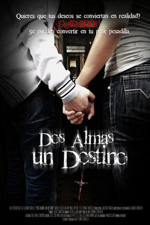Постер: Dos almas un Destino