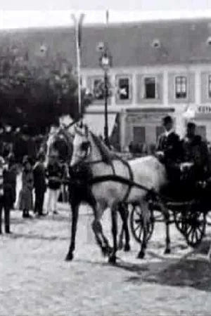 Постер: The Unveiling of the Monument to Ferenz Rakoczy