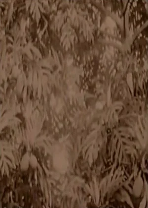Постер: History of Micronesia