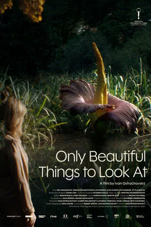 Постер: Only Beautiful Things to Look At
