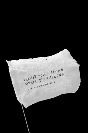Постер: Please Don't Stand While I'm Falling