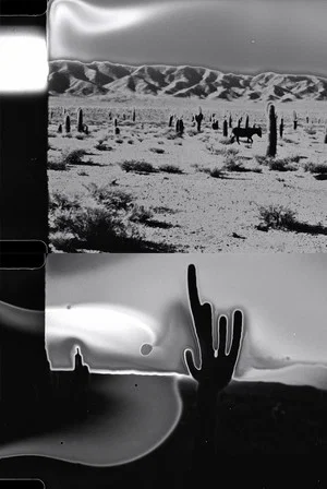 Постер: Desert Series II – Payogasta
