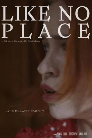 Постер: Like No Place