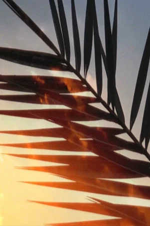 Постер: Palm