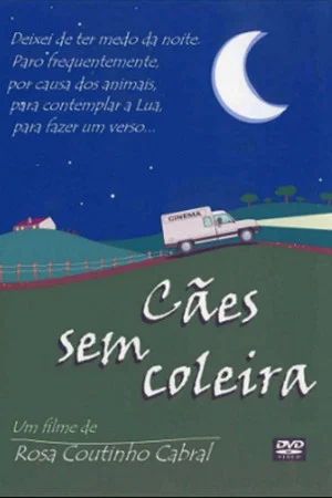 Постер: Cães Sem Coleira