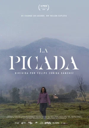 Постер: La Picada