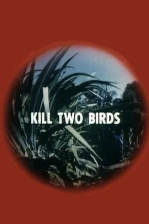 Постер: Kill Two Birds