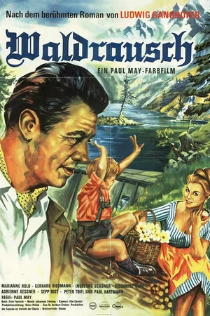 Постер: Waldrausch