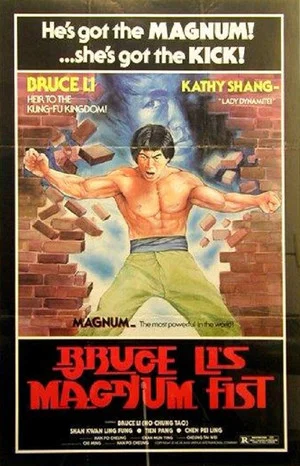 Постер: Bruce Li's Magnum Fist