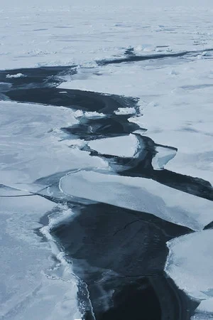 Постер: Cold Rights