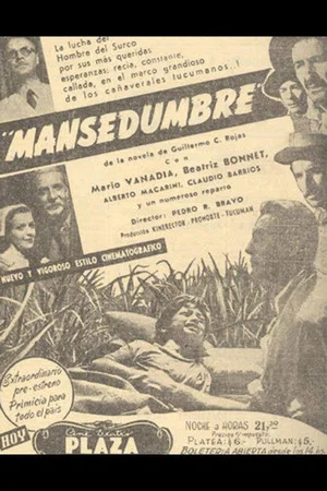 Постер: Mansedumbre