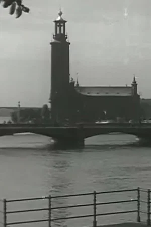 Постер: Venice of the North
