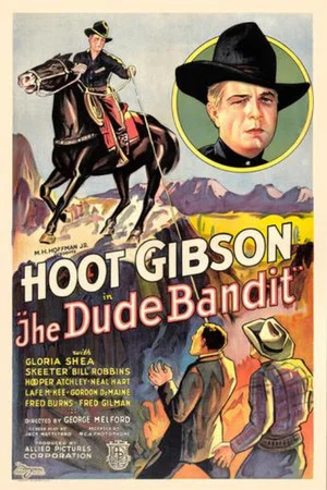 Постер: The Dude Bandit
