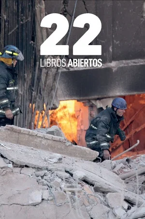 Постер: 22 libros abiertos