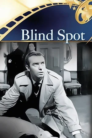 Постер: Blind Spot