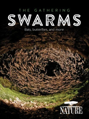 Постер: The Gathering Swarms