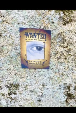 Постер: Wanted - Short Film