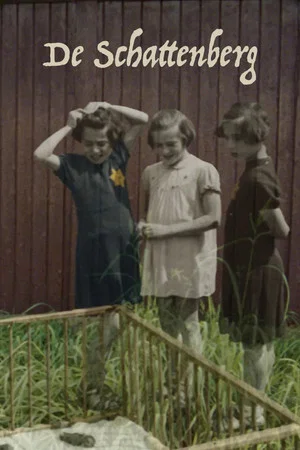 Постер: De Schattenberg