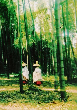Постер: Into the Picture Scroll: The Tale of Yamanaka Tokiwa
