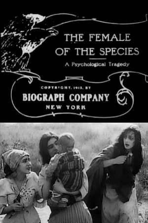 Постер: The Female of the Species