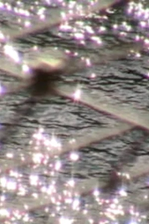 Постер: Still or Sparkling