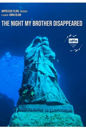 Постер: The Night My Brother Disappeared