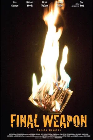 Постер: Final Weapon