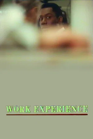 Постер: Work Experience