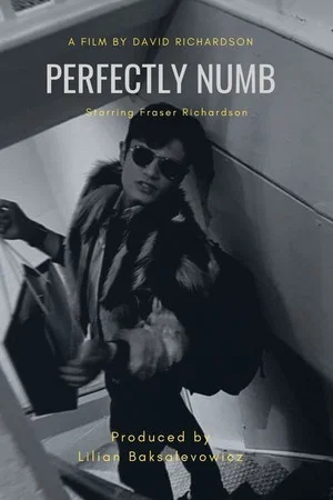Постер: Perfectly Numb
